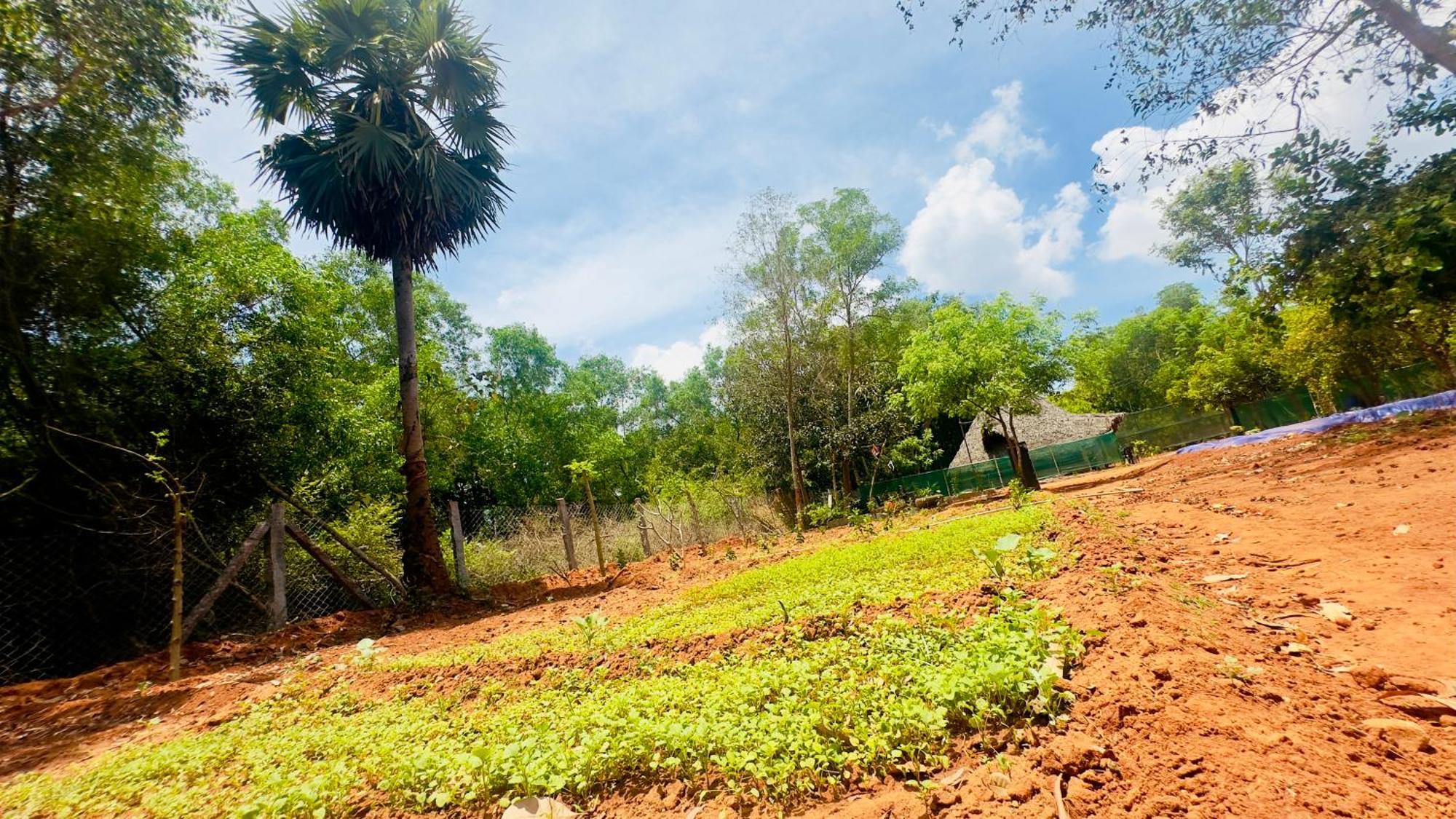 Lotus Garden Guest House Auroville Kültér fotó
